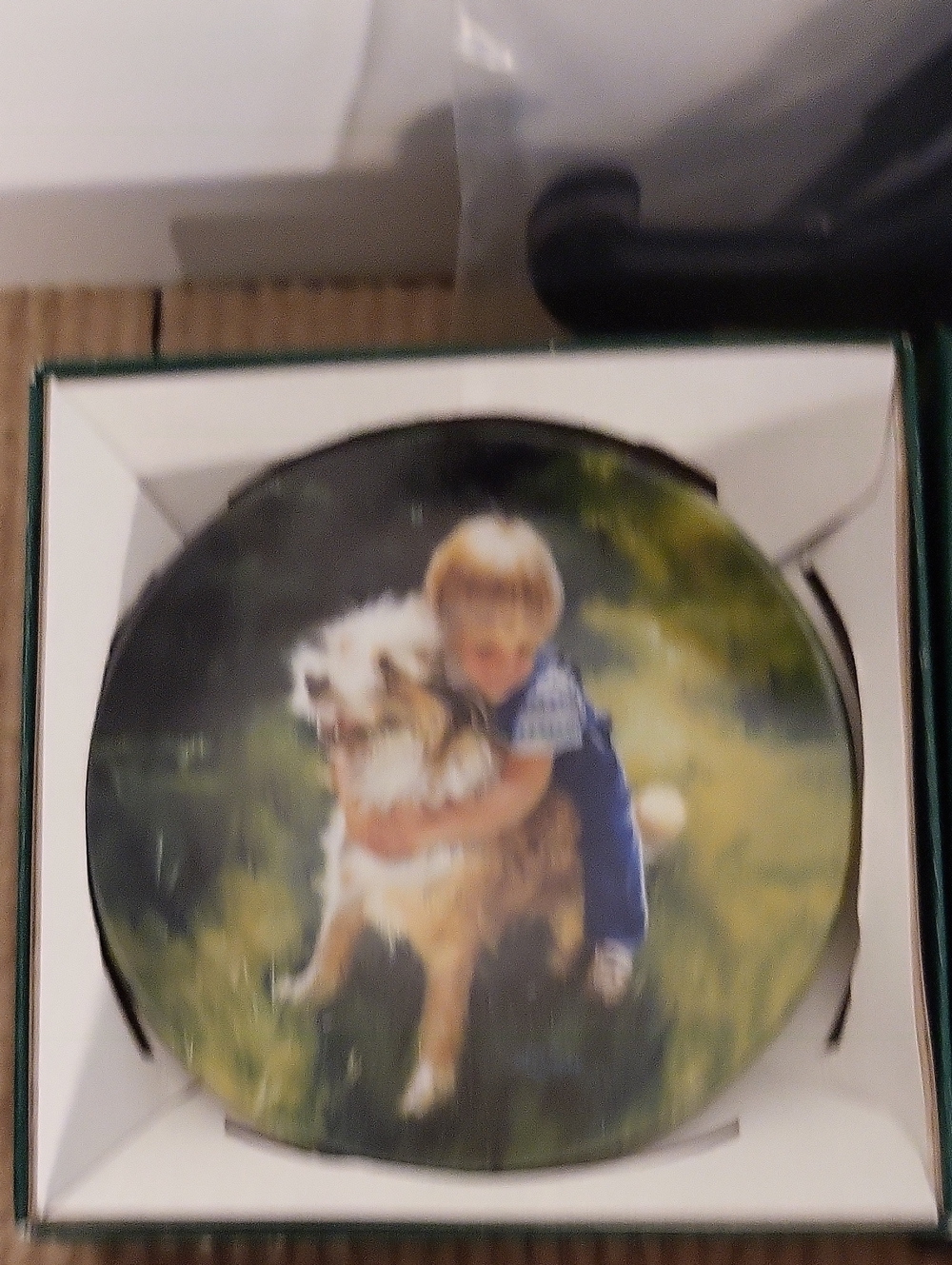 Donald Zolan "Backyard Buddies" Collector Plate
